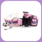 Collar-205